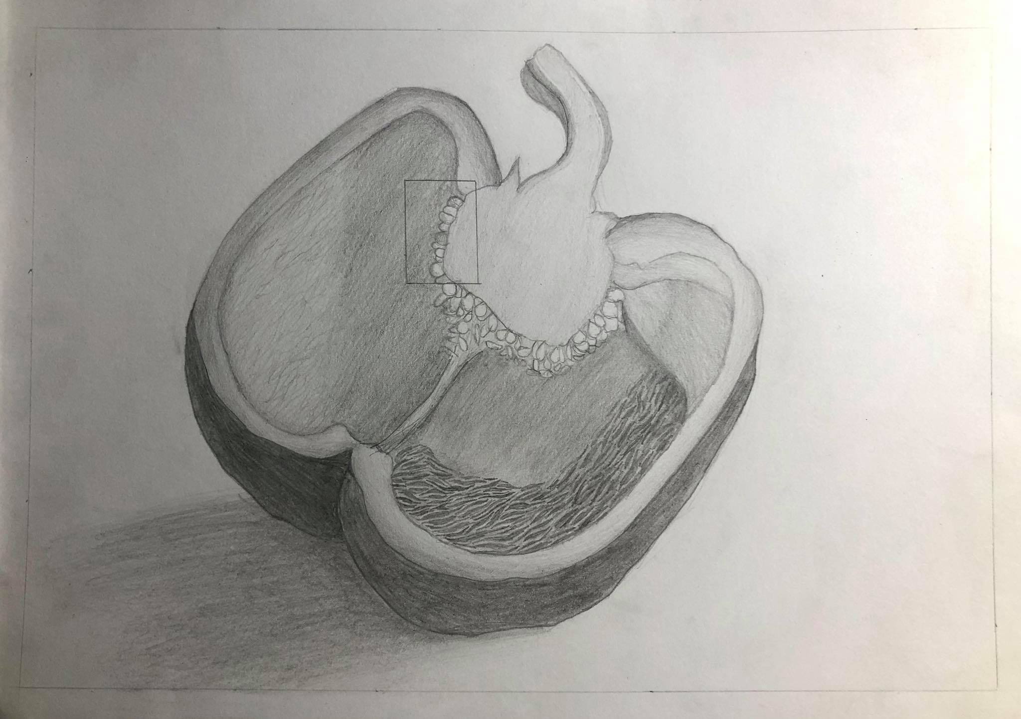 paprika